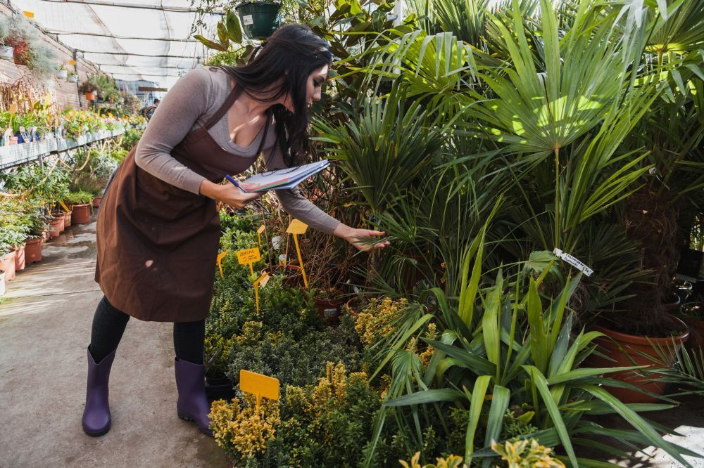 book-premium-landscaping-services-in-houston-big-0
