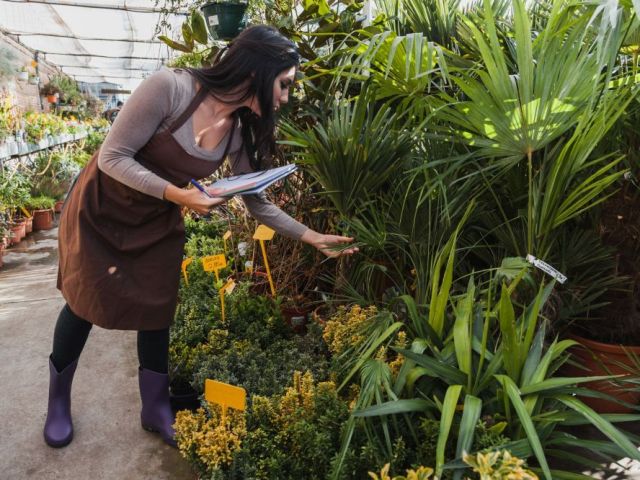 book-premium-landscaping-services-in-houston