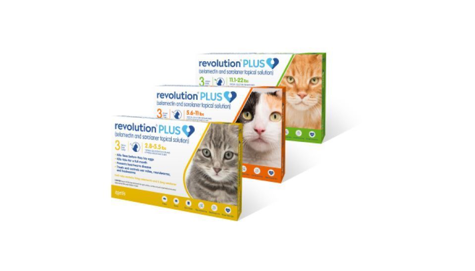 revolution-plus-for-cats-powerful-flea-tick-protection-big-0