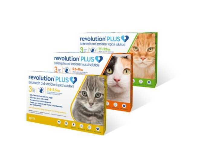 revolution-plus-for-cats-powerful-flea-tick-protection