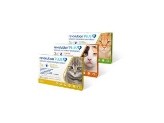 revolution-plus-for-cats-powerful-flea-tick-protection-small-0