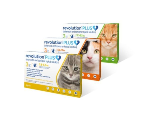 revolution-plus-for-cats-powerful-flea-tick-protection
