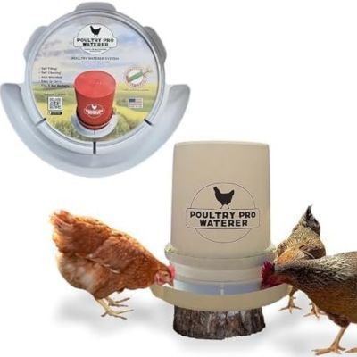 chicken-waterer-reviews-big-0
