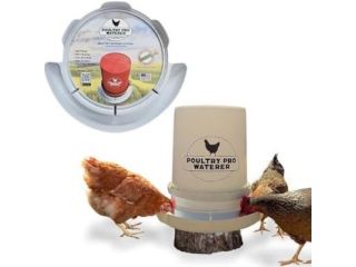chicken-waterer-reviews-small-0