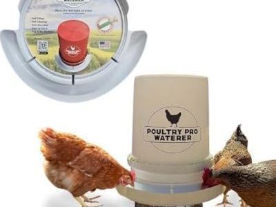 chicken-waterer-reviews