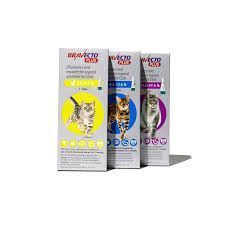 bravecto-plus-for-cats-powerful-flea-tick-worm-protection-big-0