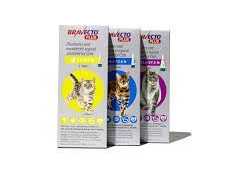 bravecto-plus-for-cats-powerful-flea-tick-worm-protection