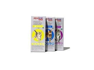 bravecto-plus-for-cats-powerful-flea-tick-worm-protection-small-0