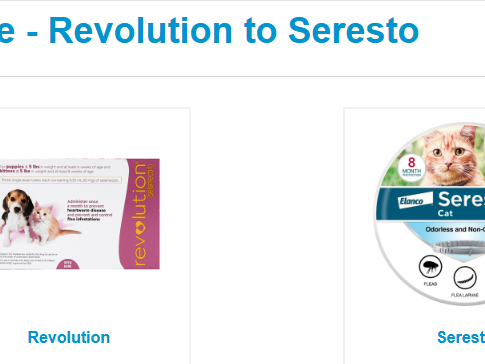 revolution-vs-seresto-collar-which-one-is-best-for-my-cats