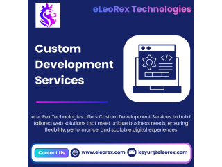 best-custom-development-services-eleorex-technologies-small-0