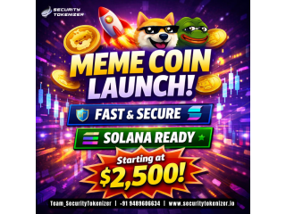 delays-and-errors-stopping-your-meme-coin-launch-from-2500-small-0