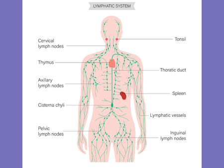general-physician-tips-for-healthy-body-systems