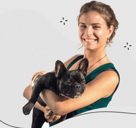 best-local-dog-walking-services-west-coast-paws-big-0