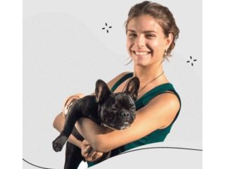 best-local-dog-walking-services-west-coast-paws-small-0
