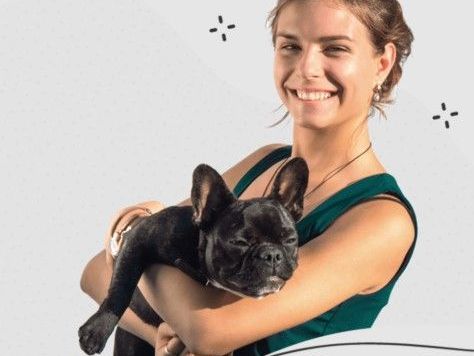 best-local-dog-walking-services-west-coast-paws