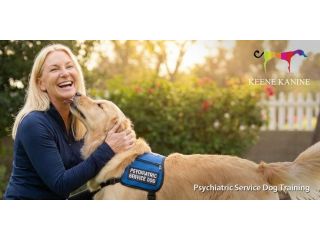 get-expert-guidance-for-psychiatric-service-dog-training-small-0