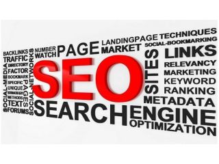 florida-seo-services-stand-out-in-search-small-0