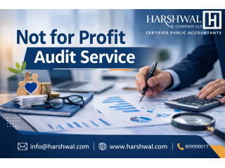 reliable-not-for-profit-audit-service-ensuring-full-compliance-small-0