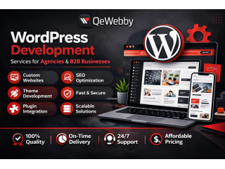 professional-wordpress-development-services-small-0