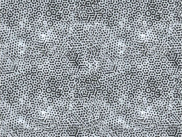 tone-on-tone-blender-fabric