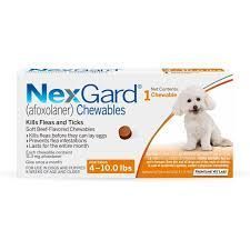nexgard-flea-tick-treatment-for-dogs-big-0
