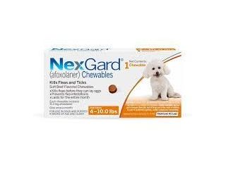 nexgard-flea-tick-treatment-for-dogs-small-0