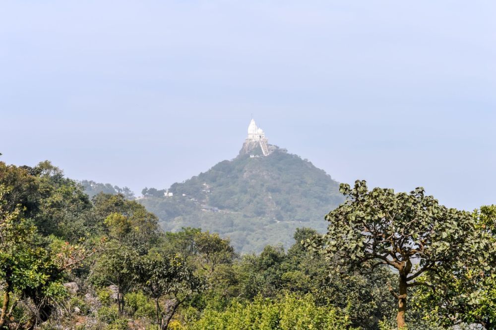sammed-shikharji-yatra-and-ashtapad-yatra-big-0