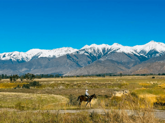 almaty-tours-kyrgyz-guided-tours