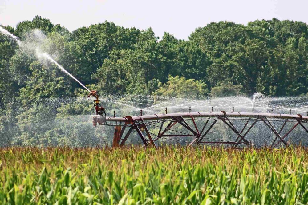 water-efficient-irrigation-planning-for-california-landscapes-big-0