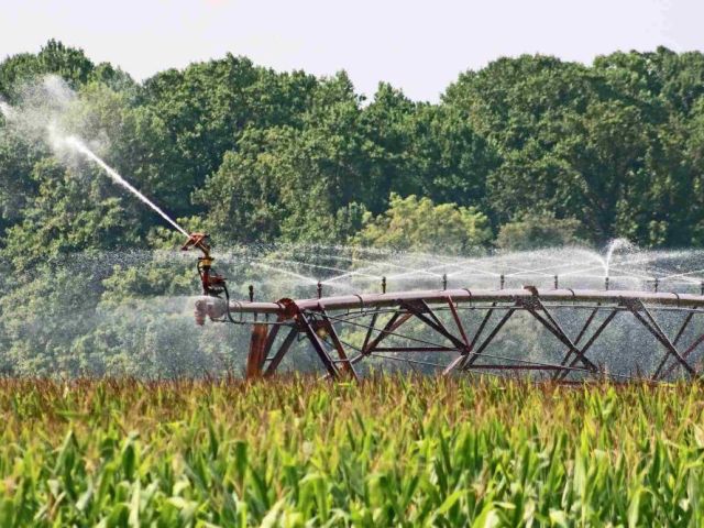 water-efficient-irrigation-planning-for-california-landscapes