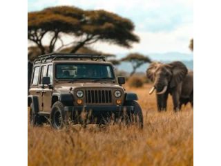 crm-for-adventure-travel-companies-organise-every-destination-small-1