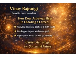 career-astrology-guidance-by-vinay-bajrangi-small-0