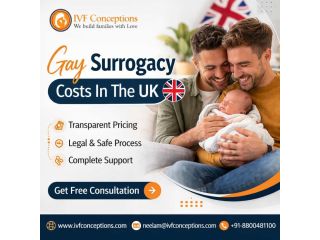gay-surrogacy-costs-in-the-uk-small-0