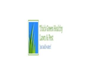 thick-green-healthy-lawn-pest-small-0