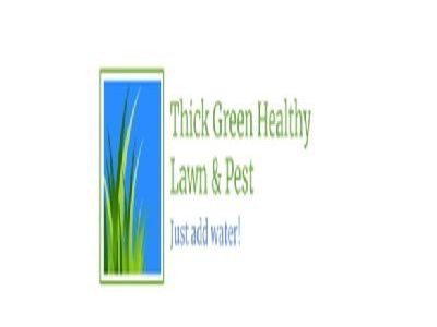 thick-green-healthy-lawn-pest