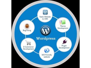 custom-wordpress-development-services-in-new-york-small-0