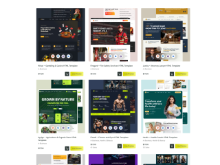 best-premium-html-templates-to-build-a-fast-and-modern-website-small-0