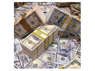 investor-looking-positive-investment-opportunitie-small-0