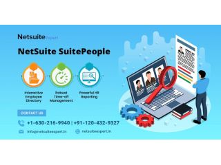 netsuite-suitepeople-for-hr-payroll-control-small-0
