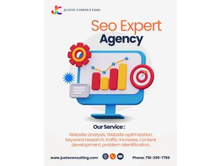 justo-consulting-data-driven-search-engine-optimization-small-0