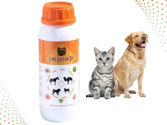 powerful-cat-lime-sulfur-dip-for-healthy-skin-care