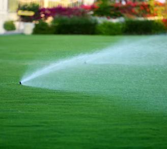 why-does-your-lawn-become-bumpy-after-rain-big-0
