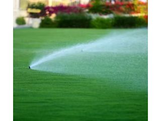 why-does-your-lawn-become-bumpy-after-rain-small-0
