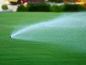 why-does-your-lawn-become-bumpy-after-rain