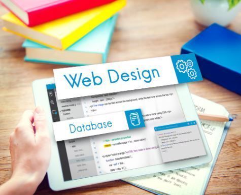 professional-wordpress-development-agency-big-0
