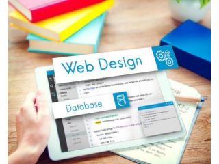 professional-wordpress-development-agency-small-0
