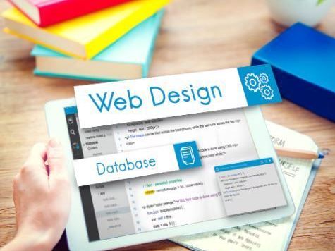 professional-wordpress-development-agency