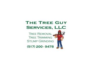 the-tree-guy-services-llc-small-0