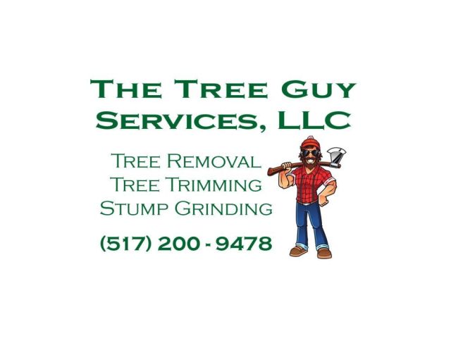 the-tree-guy-services-llc