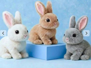 hoppsy-robot-bunny-rabbit-a-fun-robotic-pet-bunny-experience